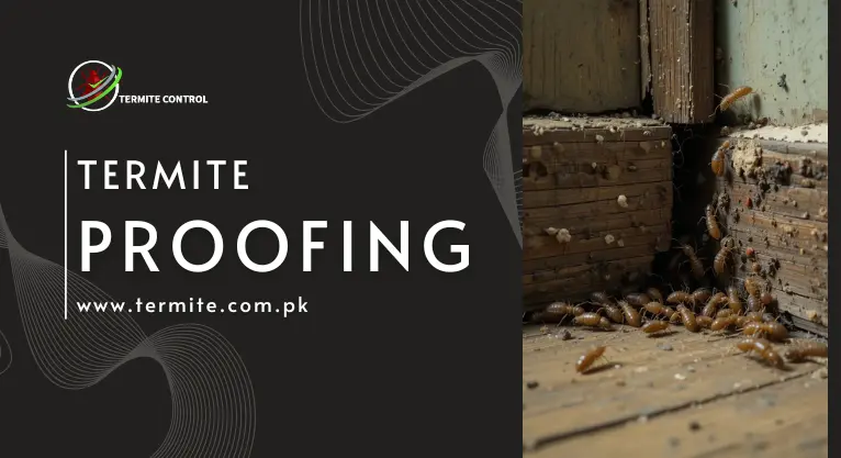 Termite Proofing 10 Proven Methods