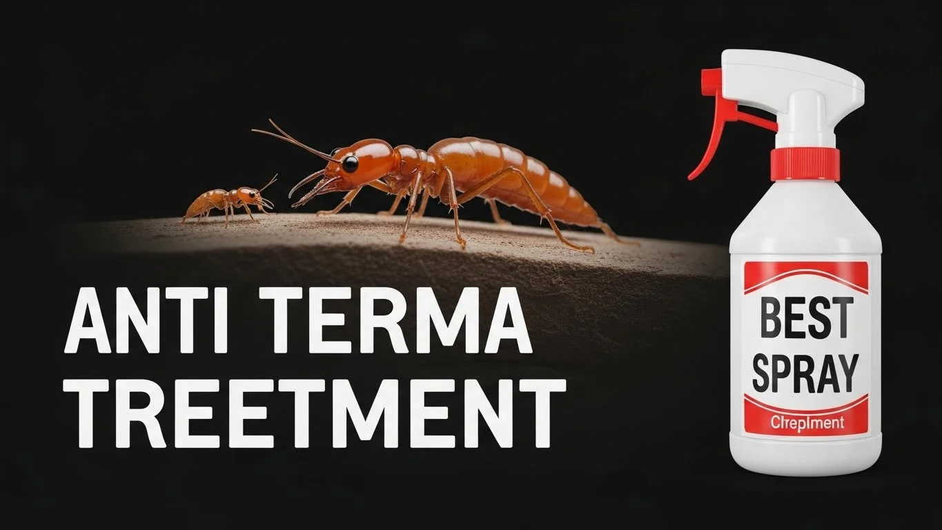 Anti Termite Treatment in Pakistan Best Spray & Chemical